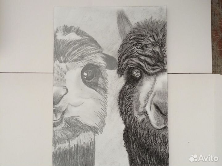 Рисунок пастель
