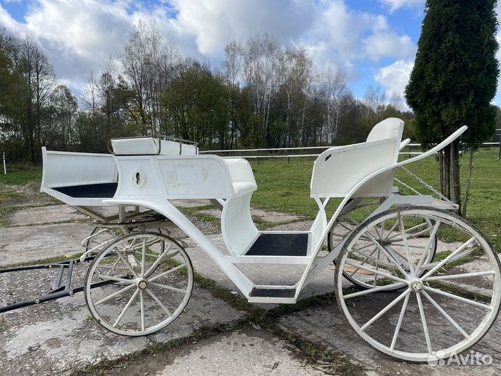 Экипаж для лошади