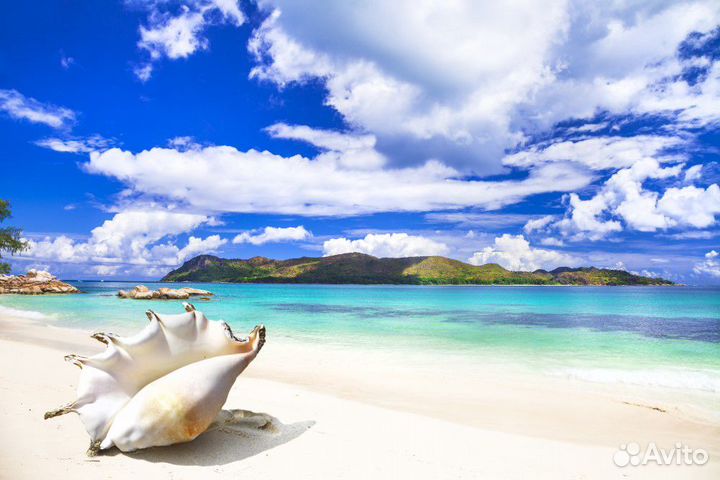 Обои природа