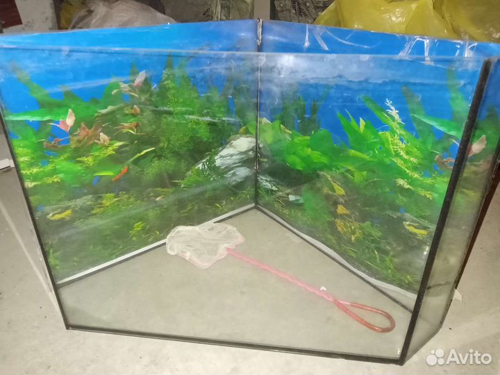Аквариум