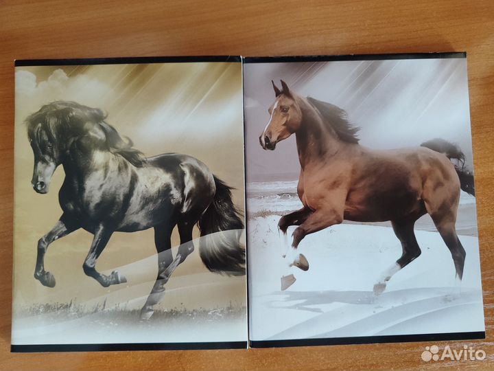 Тетради в клетку с лошадьми