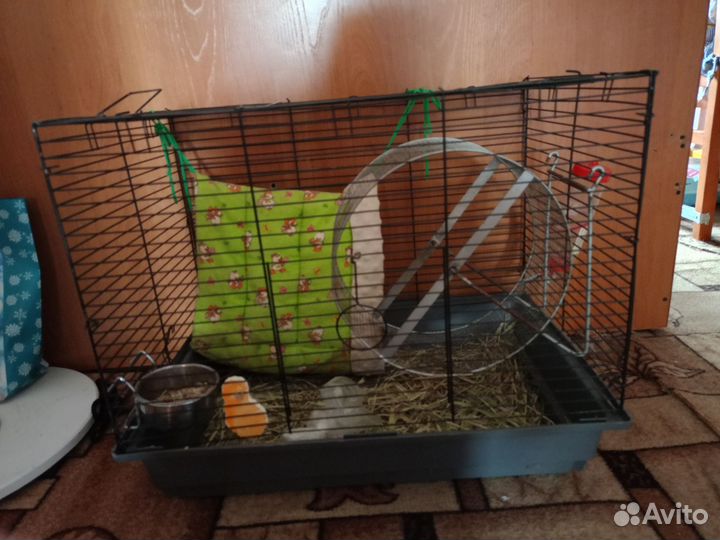 Клетка для шиншиллы