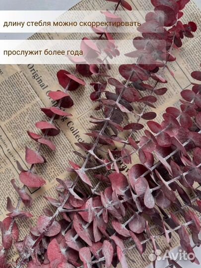 Искусственные цветы эвкалипт
