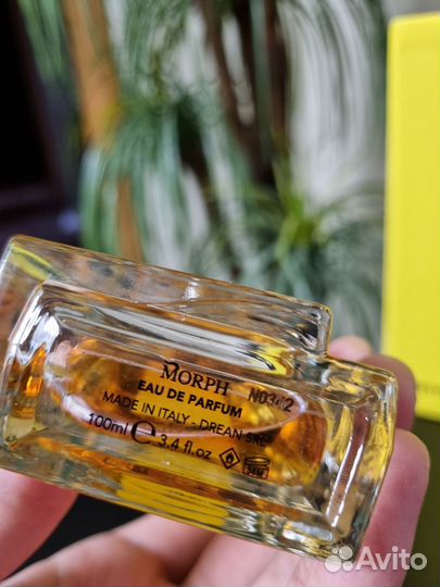 Morph Zeta Eau de Parfum