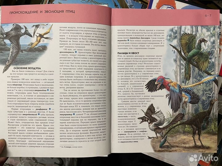 Птицы. Полная энциклопедия