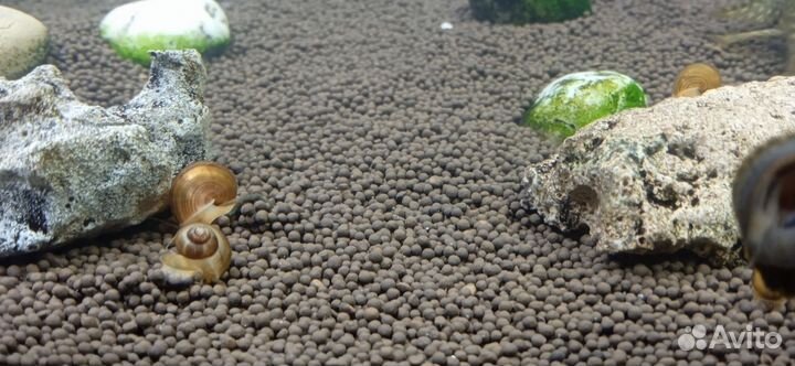 Аквариум, грунт