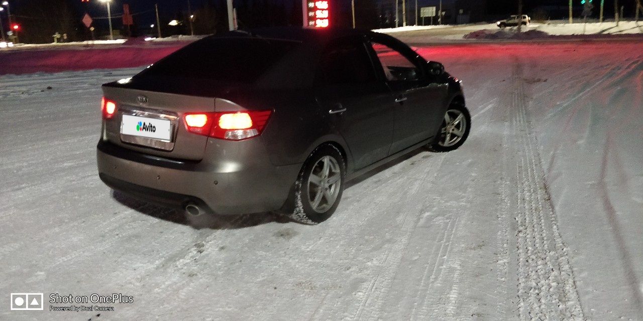 Kia Cerato: фото владельца