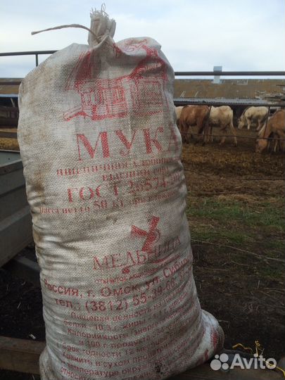 Навоз,перегной конский,бычий на выбор