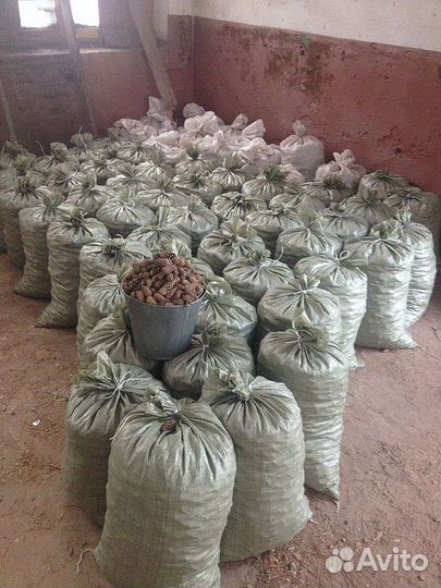 Шишки для самовара