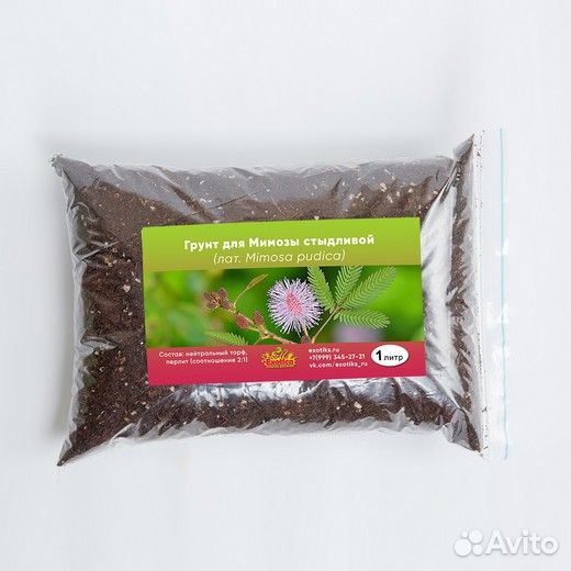 Грунт для Стыдливой Мимозы