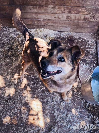 Милаха Груша ждёт тебя