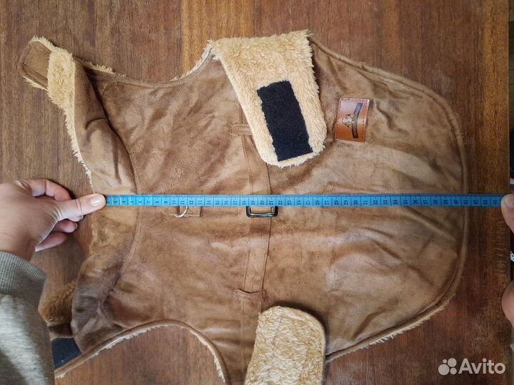 Одежда для собак