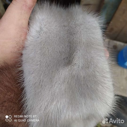 Шкурка животного норка