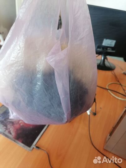 Собачья шерсть