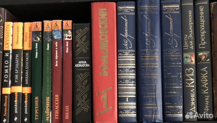 Очень много книг