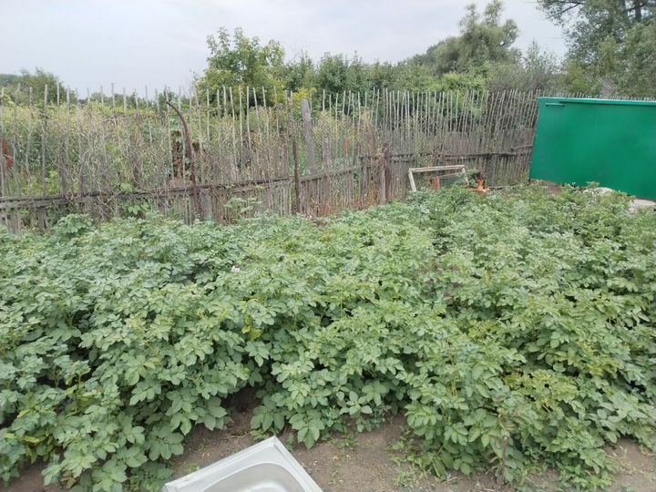 Участок 6 сот. (СНТ, ДНП)