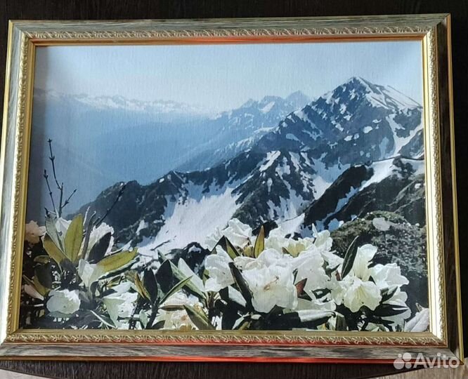 Картина маслом на холсте пейзаж