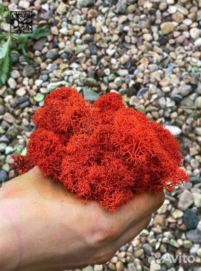 Стабилизированный ягель от производителя, Оливковы