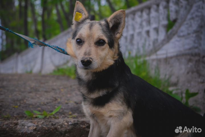 Он всё ждёт