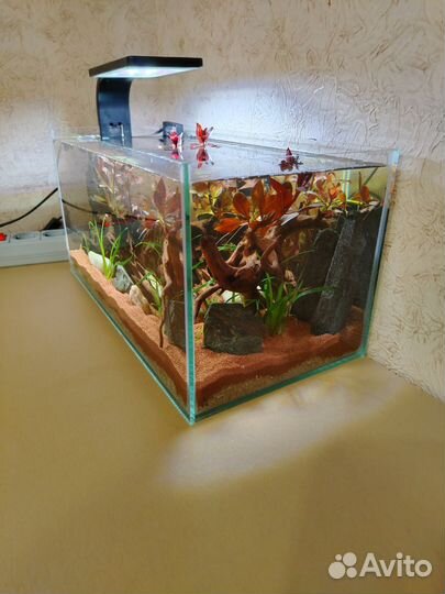 Аквариум