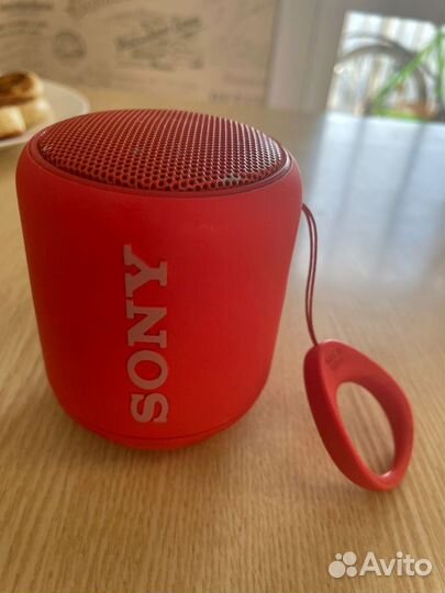 Sony SRS-XB10