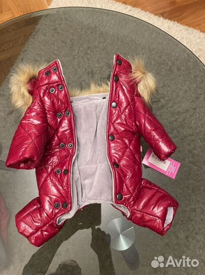 Комбинзон для маленькой собачки