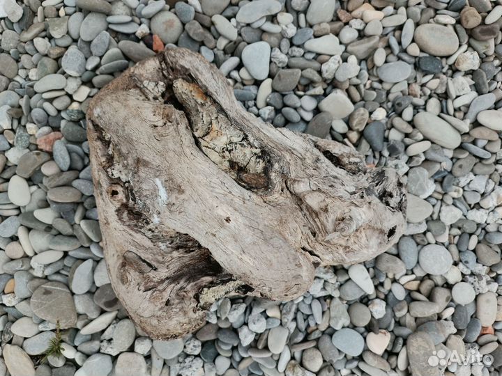 Морское дерево, дрифтвуд, палочки для декора