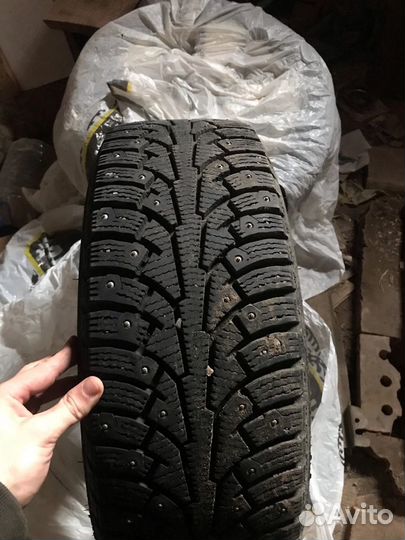 Nordman 5 205/55 R16