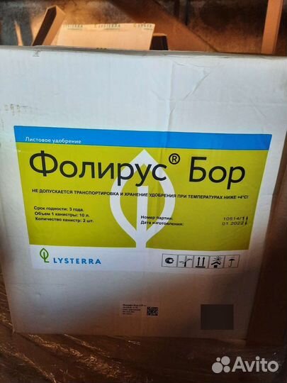 Фолирус Бор