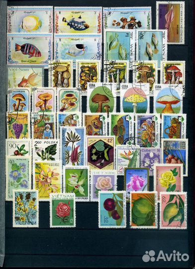 Марки фауна, флора, транспорт, космос, живопись-n3