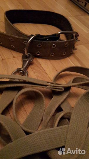 Ошейник и поводок для собак из СССР