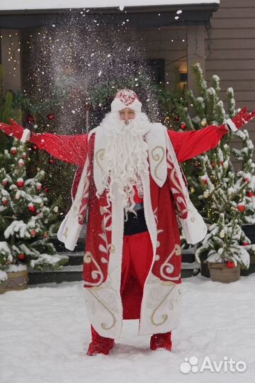 Дедушка Мороз и Снегурочка на дом