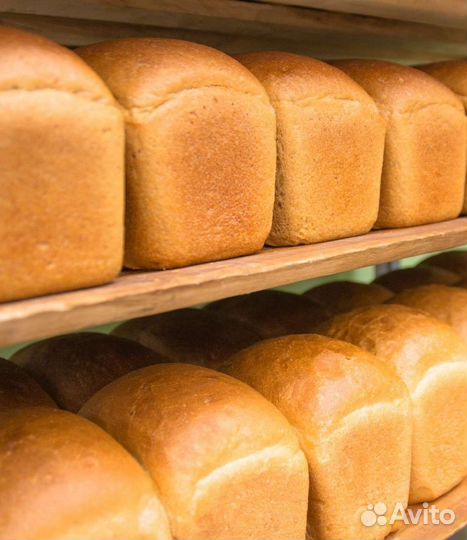 Хлеб на корм животным