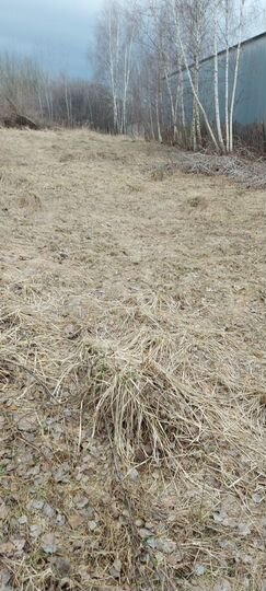 Участок 8 сот. (ИЖС)