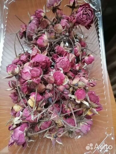 Сухой цветок Роза