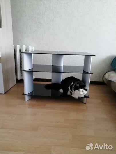 Стеклянная тумба под тв