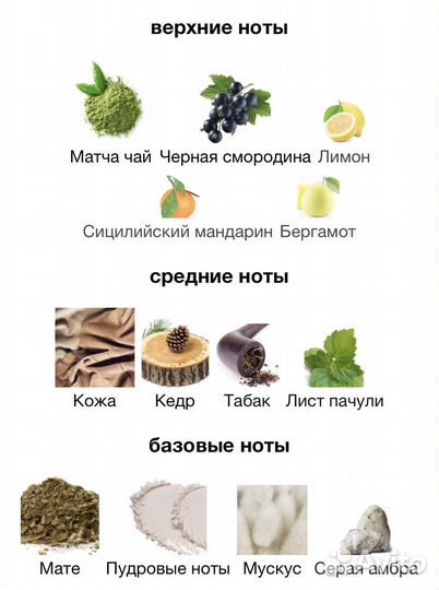 Montal blue matcha оригинал