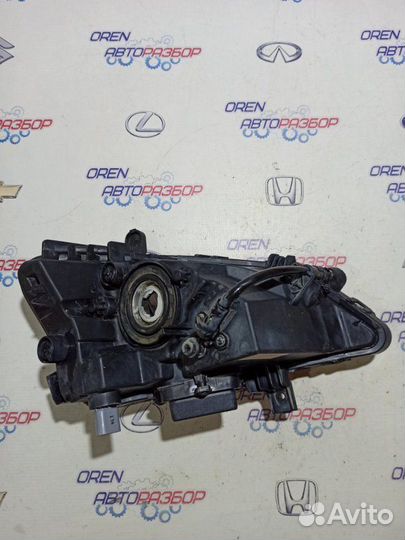 Фара противотуманная передняя левая Hyundai Tucson