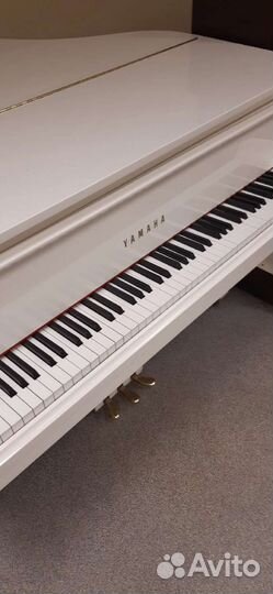 Настройка пианино и роялей