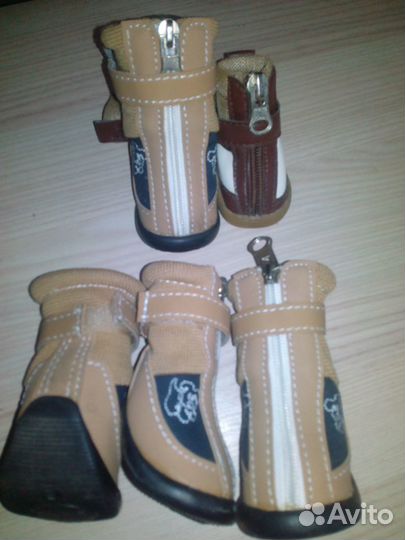 Для собачки S сапожки с высоким берцем
