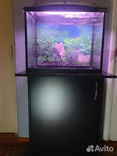 Аквариум