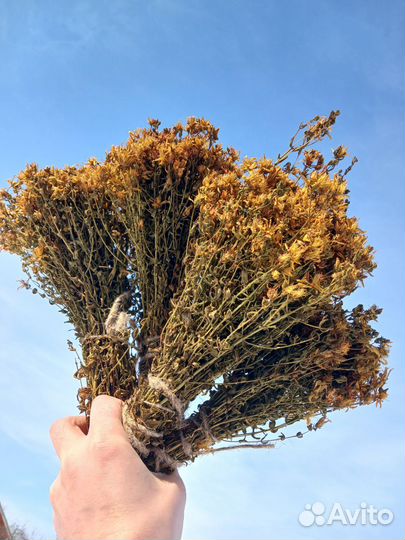 Веники для бани