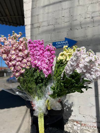 Цветы оптом для цветочных магазинов