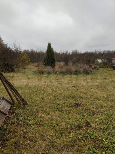 Участок 12 сот. (СНТ, ДНП)