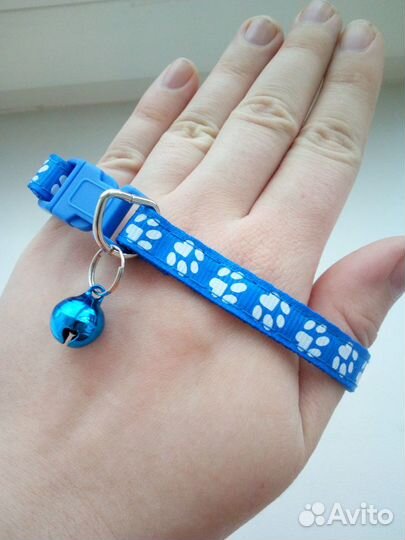 Синий ошейник с бубенчиком