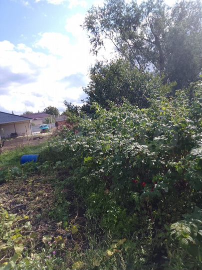 Дом 90 м² на участке 5 сот.