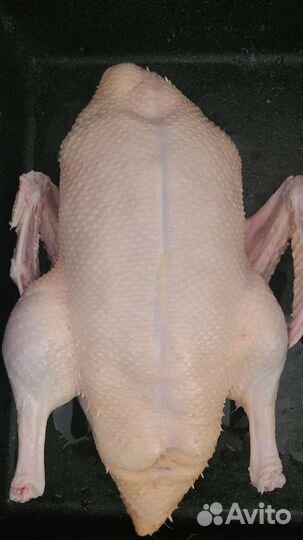 Мясо мулларда