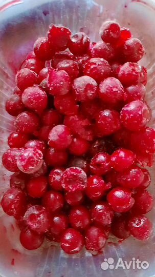 Вишня без косточки