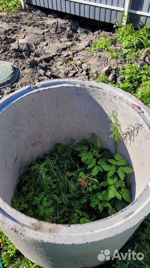 Кольцо жби кольца