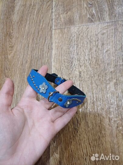 Шлейка и ошейник для маленьких собак и кошек